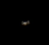 Foto der ISS kurz vor dem Ende der Sichtbarkeit. (c) Roland Marx