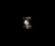Foto der ISS relativ kurz nach dem Aufgehen am Horizont. (c) Roland Marx